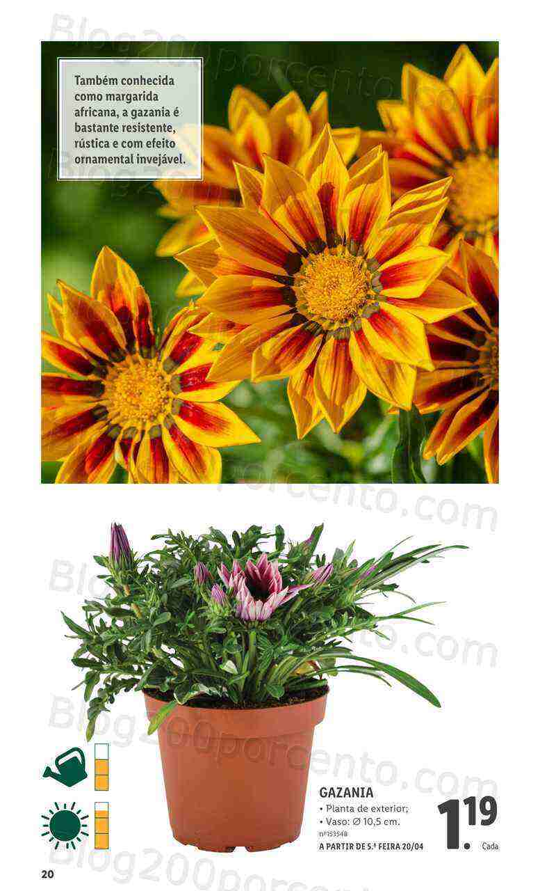 Antevisão Folheto LIDL Especial Jardim Promoções para Abril e Maio!