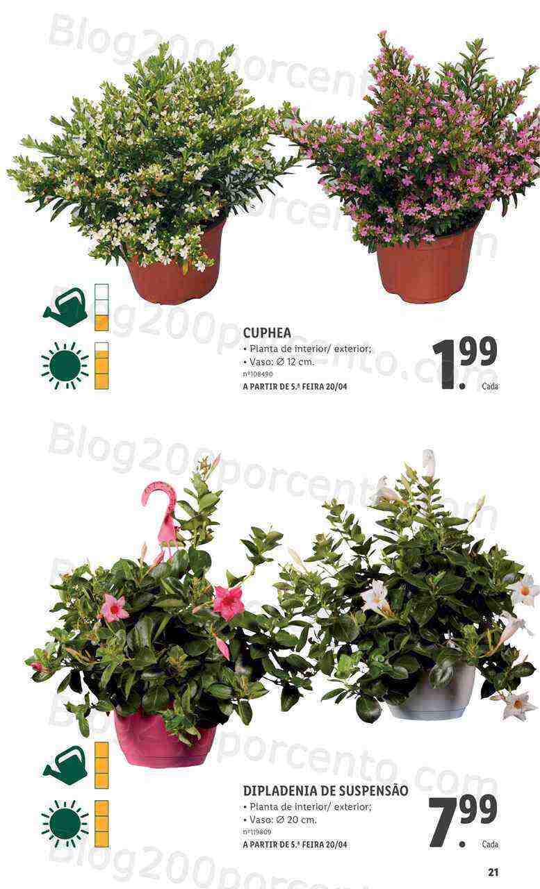 Antevisão Folheto LIDL Especial Jardim Promoções para Abril e Maio!