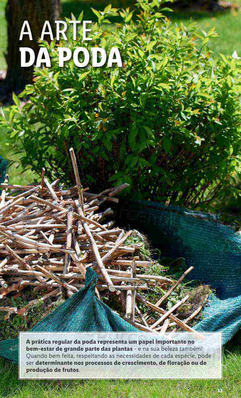 Antevisão Folheto LIDL Especial Jardim Promoções para Abril e Maio!