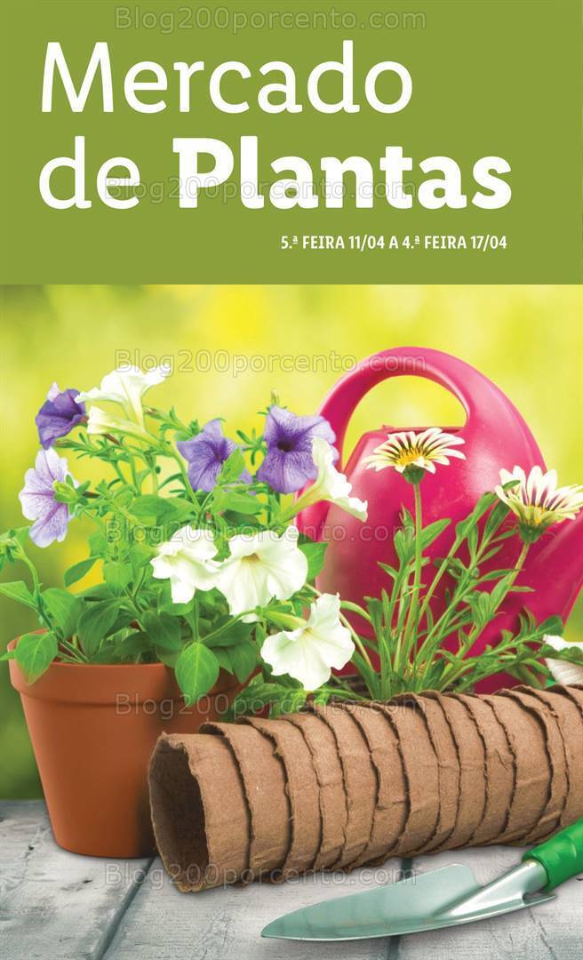 Antevisão Folheto LIDL Mercado de Plantas Promoções até 11 a 17 abril