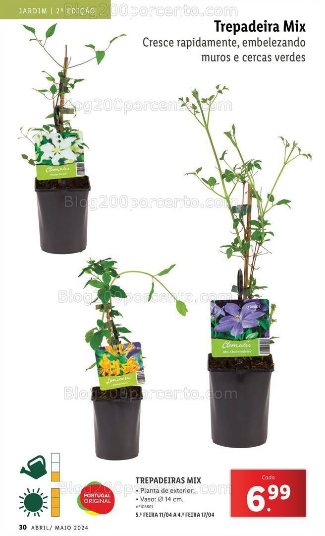 Antevisão Folheto LIDL Mercado de Plantas Promoções até 11 a 17 abril