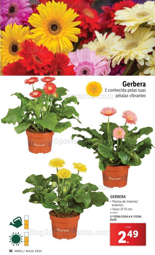 Antevisão Folheto LIDL Jardim Promoções a partir de 1 abril