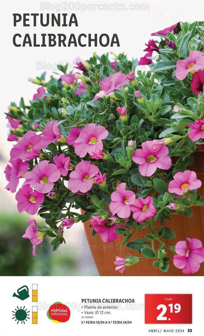 Antevisão Folheto LIDL Jardim Promoções a partir de 1 abril