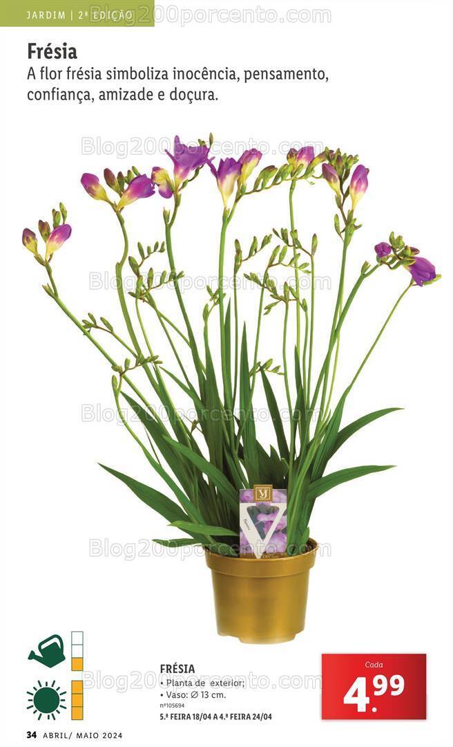 Antevisão Folheto LIDL Jardim Promoções a partir de 1 abril