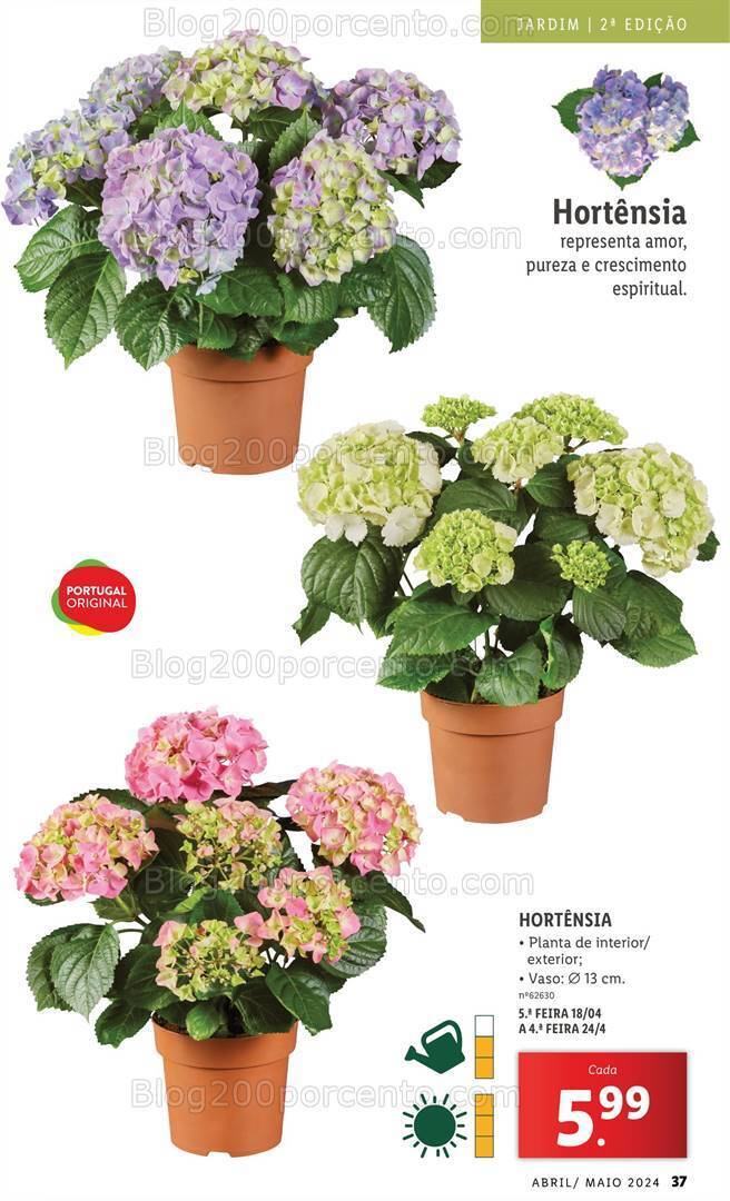 Antevisão Folheto LIDL Jardim Promoções a partir de 1 abril