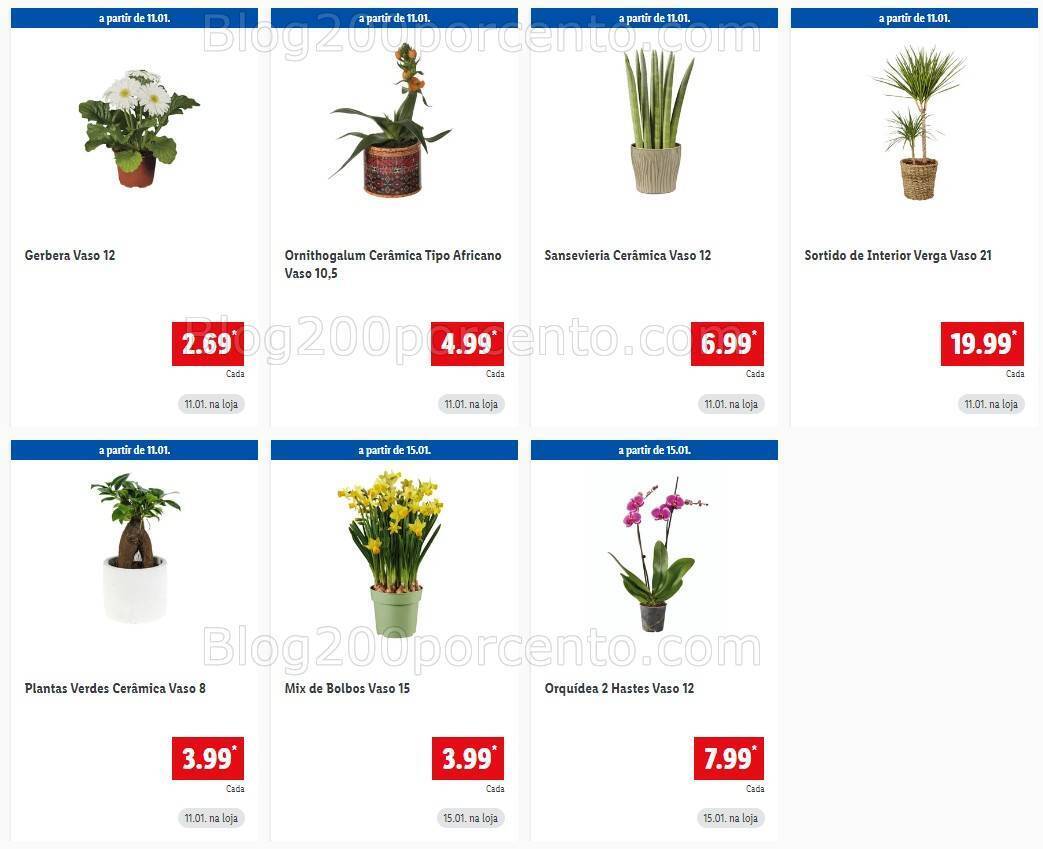 Antevisão Folheto LIDL Promoções de 11 a 17 janeiro