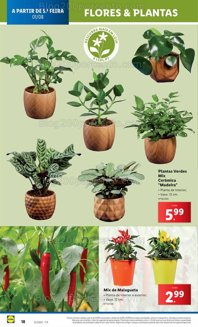 Antevisão Folheto LIDL Bazar Promoções de 1 a 7 agosto