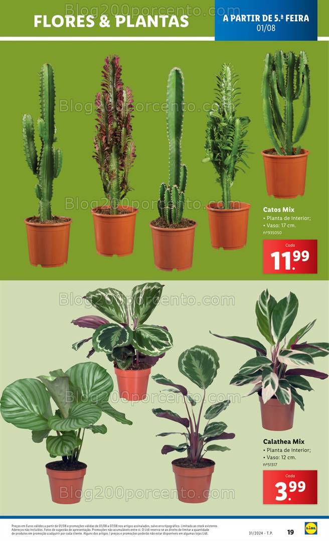 Antevisão Folheto LIDL Bazar Promoções de 1 a 7 agosto