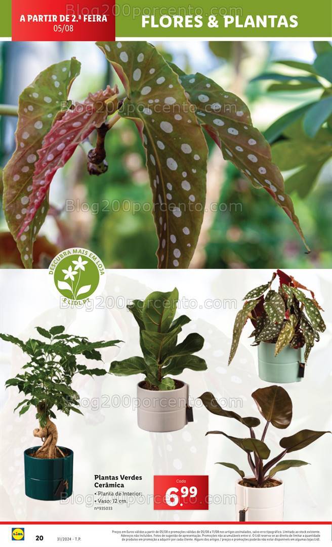 Antevisão Folheto LIDL Bazar Promoções de 1 a 7 agosto