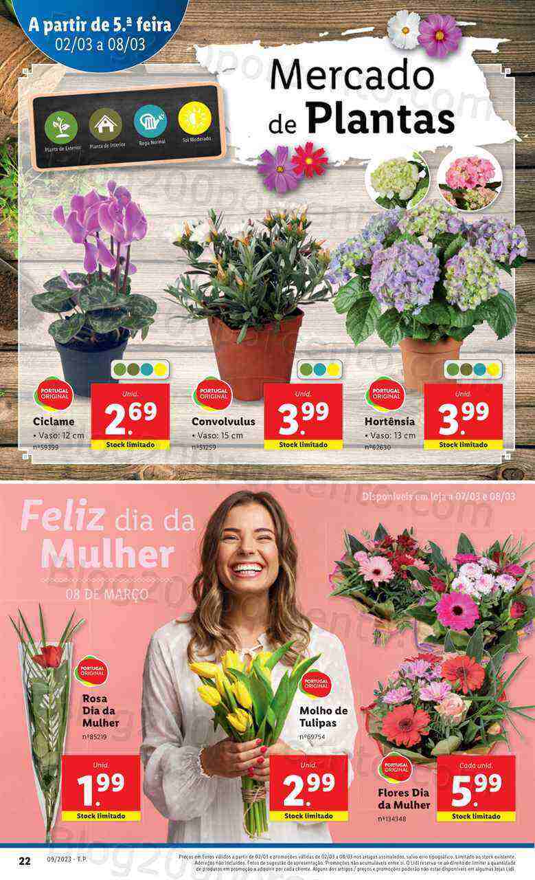 Antevisão Folheto LIDL Promoções de 2 a 8 março