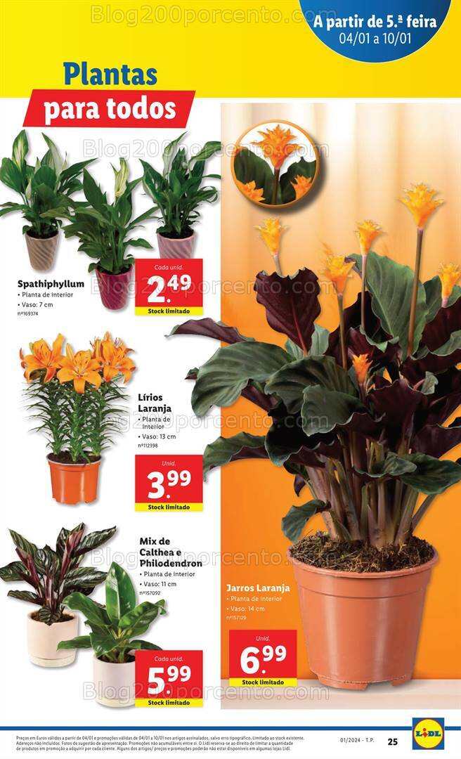 Antevisão Folheto LIDL Promoções de 4 a 10 janeiro