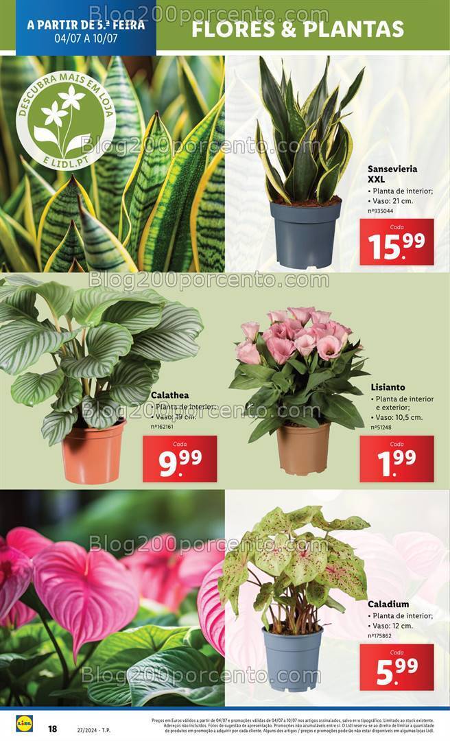 Antevisão Folheto LIDL Promoções de 4 a 10 julho