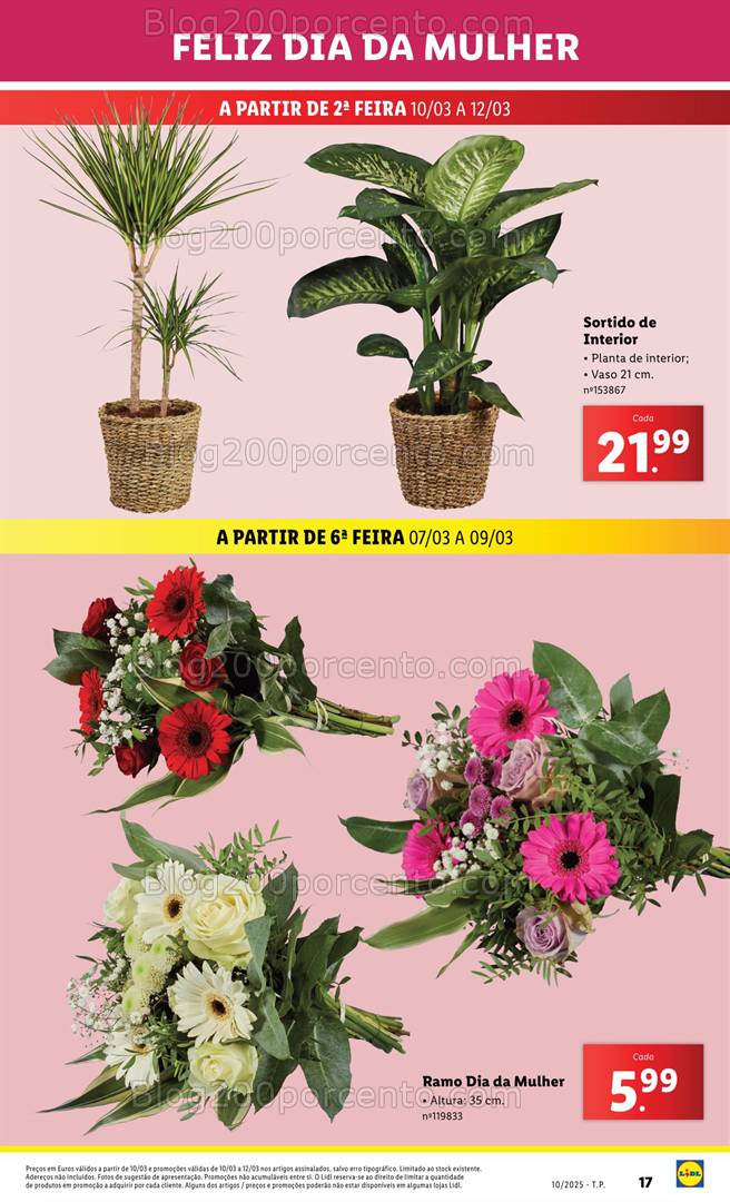 Antevisão Folheto LIDL Especial Dia da Mulher Promoções de 7 a 9 março