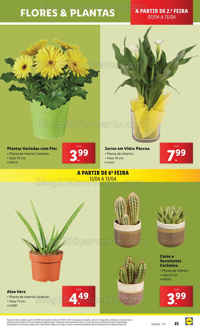 Antevisão Folheto LIDL Bazar Jardim Promoções de 7 a 13 abril