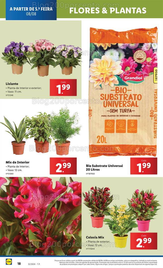 Antevisão Folheto LIDL Bazar Promoções de 8 a 14 agosto