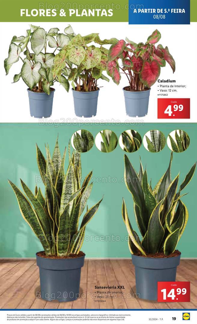 Antevisão Folheto LIDL Bazar Promoções de 8 a 14 agosto