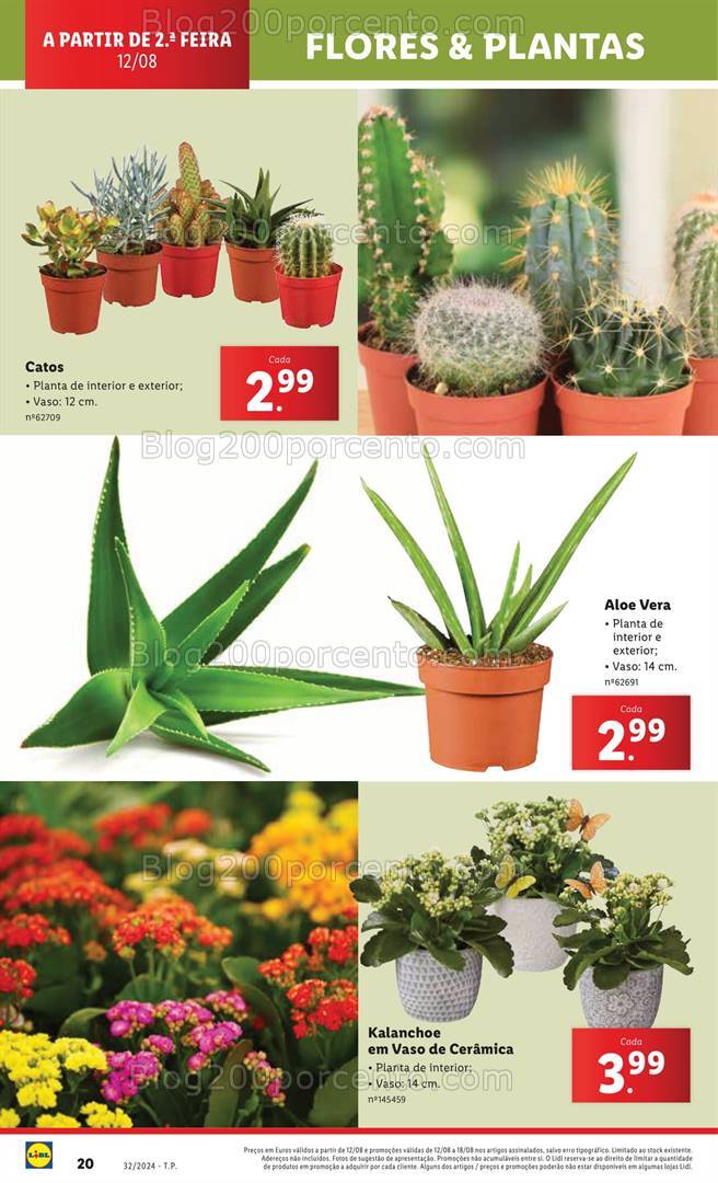 Antevisão Folheto LIDL Bazar Promoções de 8 a 14 agosto