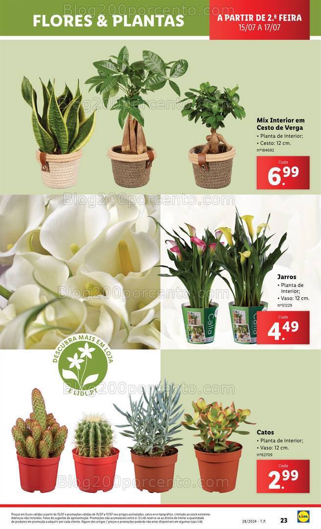 Antevisão Folheto LIDL Mercado de Plantas Promoções a partir de 11 julho