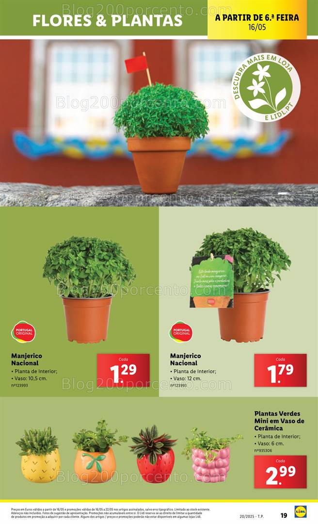 Antevisão Folheto LIDL Bazar Promoções de 12 a 22 de maio all