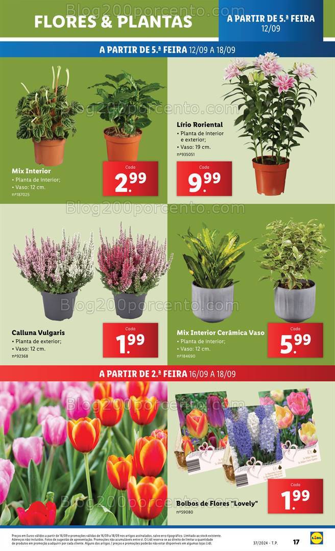 Antevisão Folheto LIDL Bazar Promoções de 12 a 18 setembro