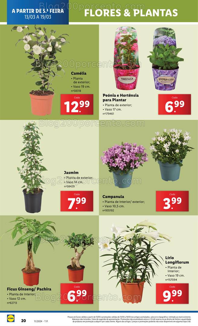 Antevisão Folheto LIDL Mercado de Plantas Promoções de 13 a 19 março