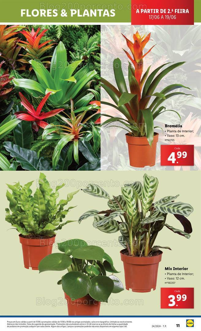 Antevisão Folheto LIDL Bazar Promoções a partir de 16 junho