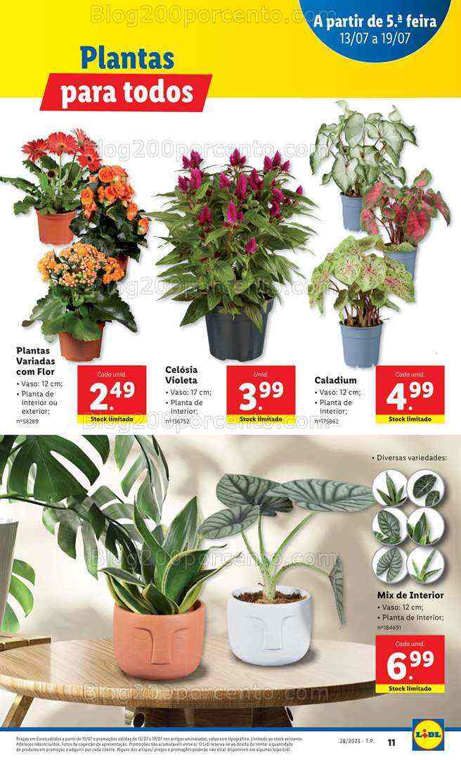 Antevisão Folheto LIDL Mercado de Plantas Promoções de 13 a 19 julho