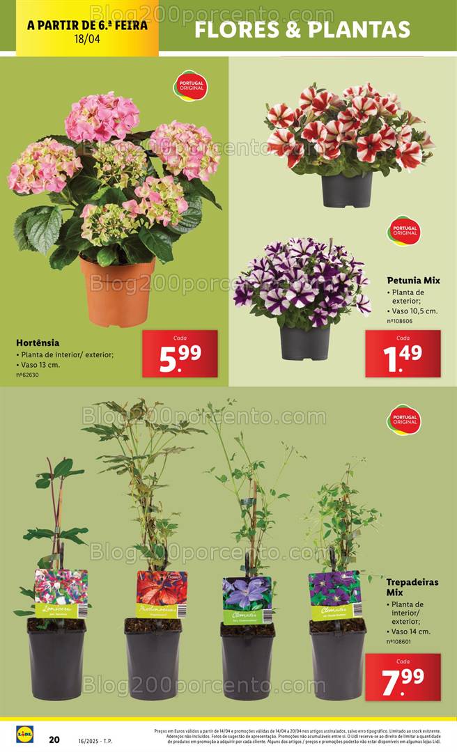 Antevisão Folheto LIDL Mercado de Plantas Promoções de 14 a 24 abril