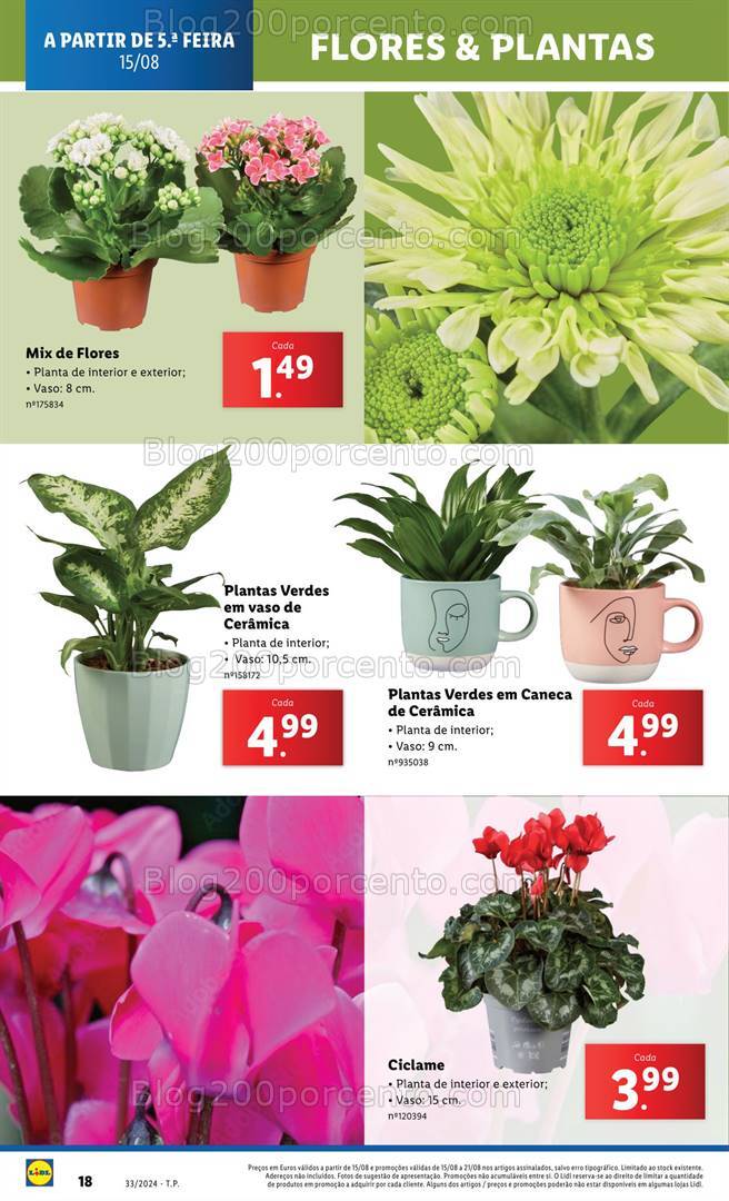 Antevisão Folheto LIDL Bazar Promoções a partir de 15 agosto