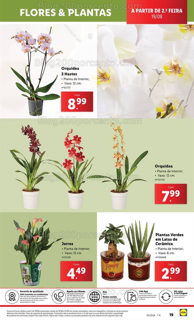 Antevisão Folheto LIDL Especial Jardim Promoções de 15 a 21 agosto