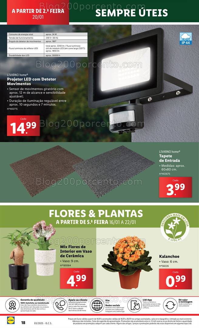 Antevisão Folheto LIDL Mercado de Plantas Promoções de 16 a 22 janeiro