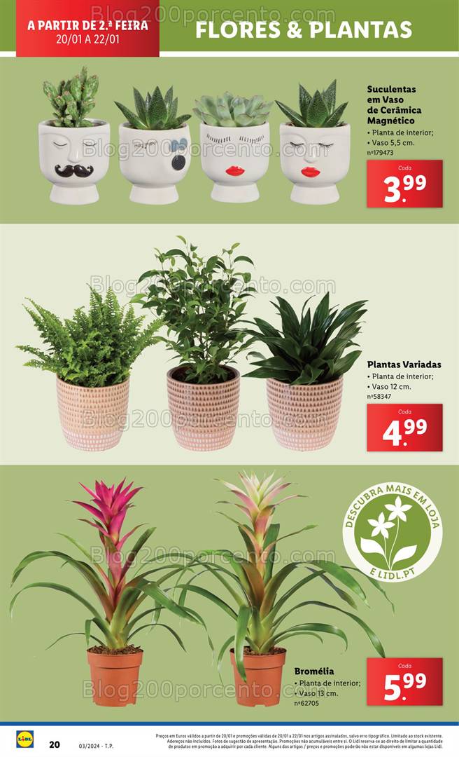 Antevisão Folheto LIDL Mercado de Plantas Promoções de 16 a 22 janeiro