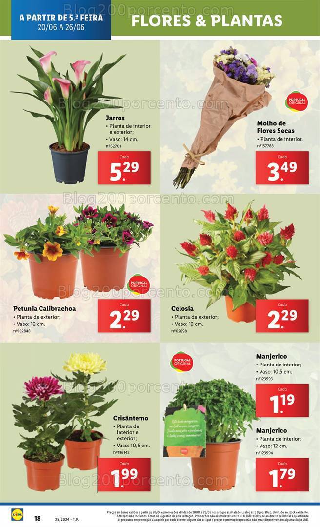 Antevisão Folheto LIDL Mercado de Plantas Promoções de 20 a 26 junho