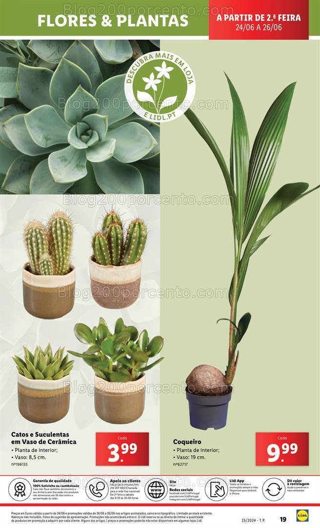 Antevisão Folheto LIDL Bazar Promoções a partir de 24 junho