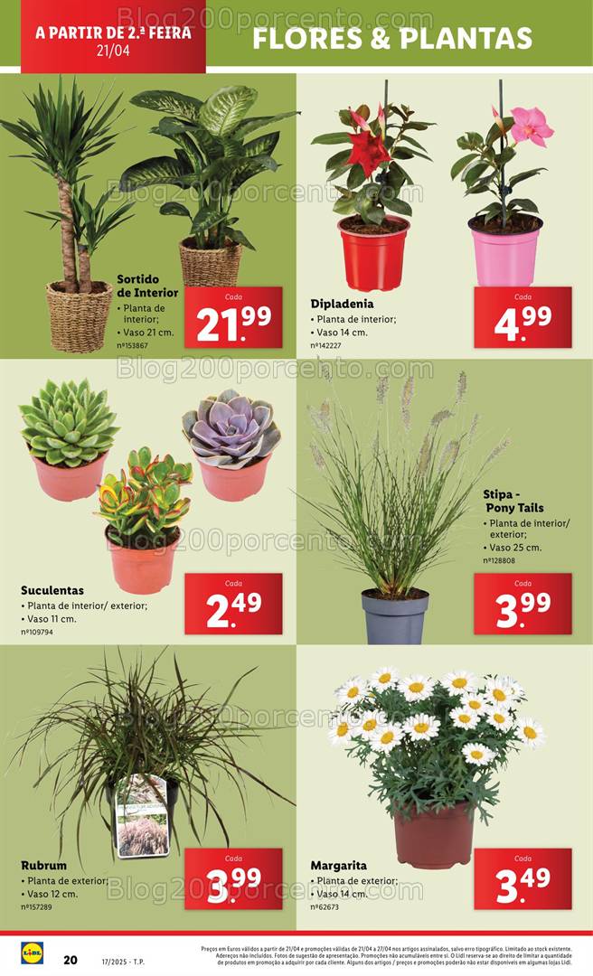 Antevisão Folheto LIDL Bazar Promoções de 21 abril a 1 maio