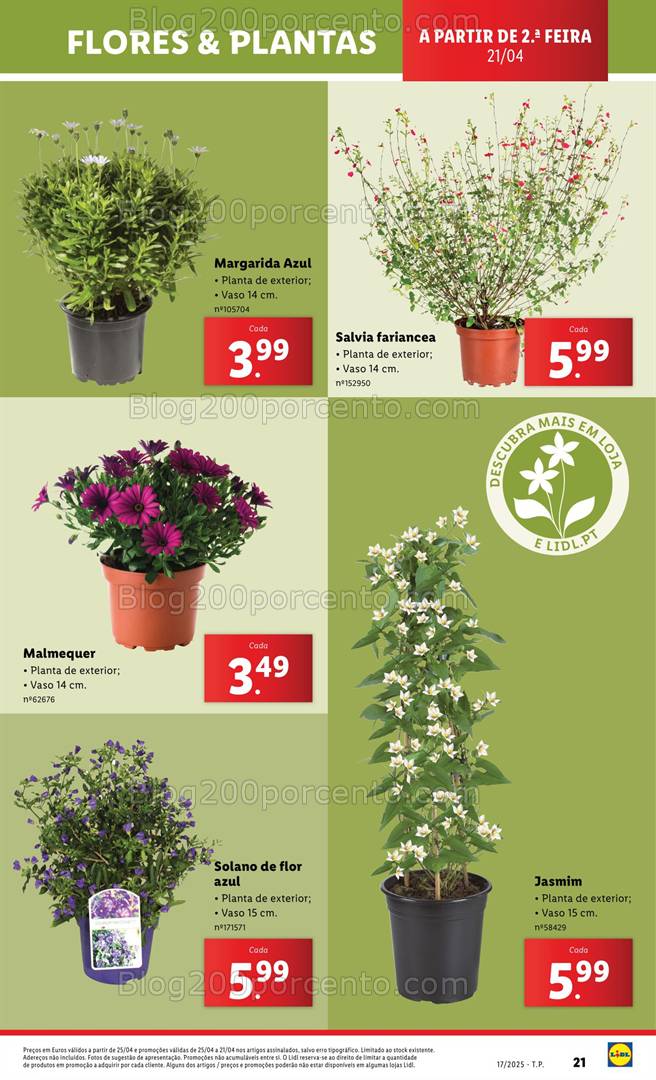 Antevisão Folheto LIDL Bazar Promoções de 21 abril a 1 maio