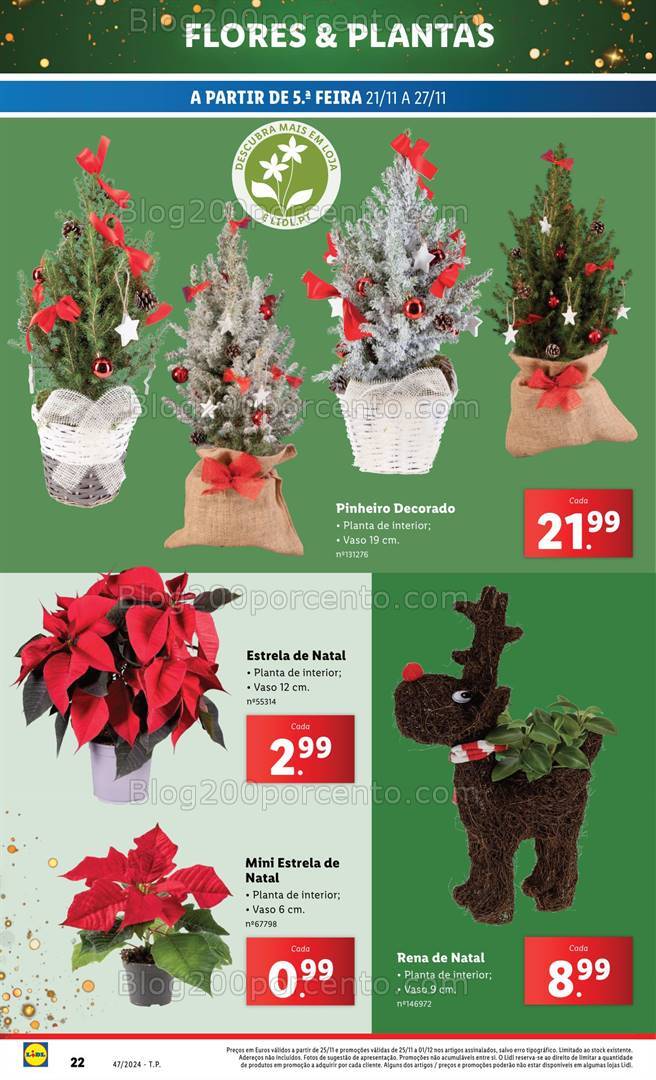 Antevisão Folheto LIDL Mercado de Plantas Promoções de 21 a 27 novembro