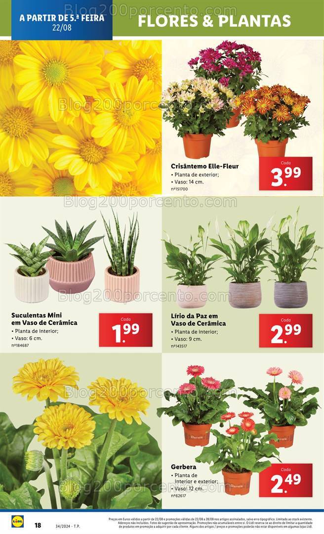 Antevisão Folheto LIDL Bazar Promoções de 22 a 28 agosto