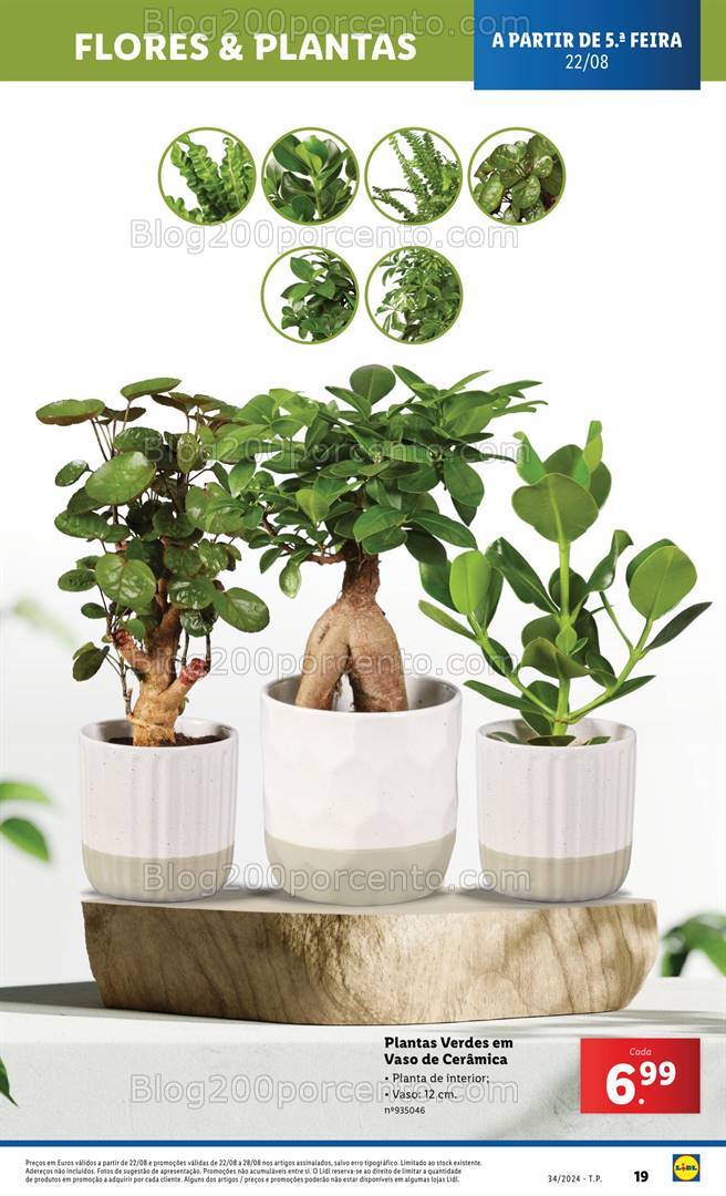 Antevisão Folheto LIDL Bazar Promoções de 22 a 28 agosto