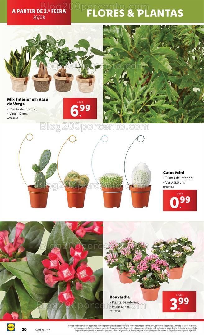 Antevisão Folheto LIDL Bazar Promoções de 22 a 28 agosto