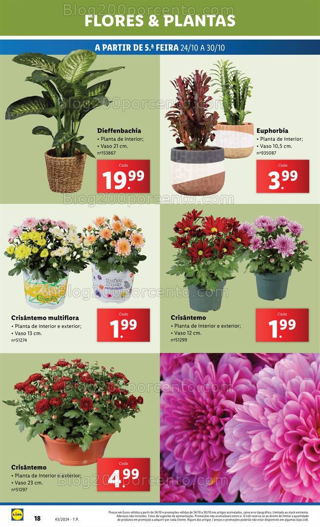 Antevisão Folheto LIDL Mercado de Plantas Promoções de 24 a 30 outubro