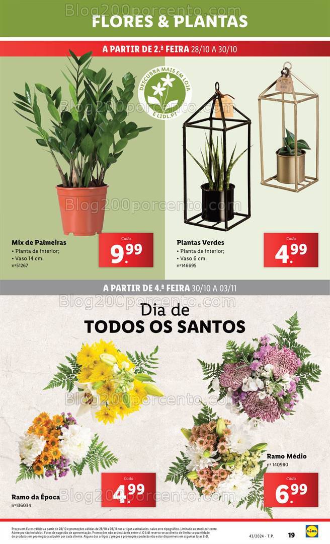 Antevisão Folheto LIDL Mercado de Plantas Promoções de 24 a 30 outubro