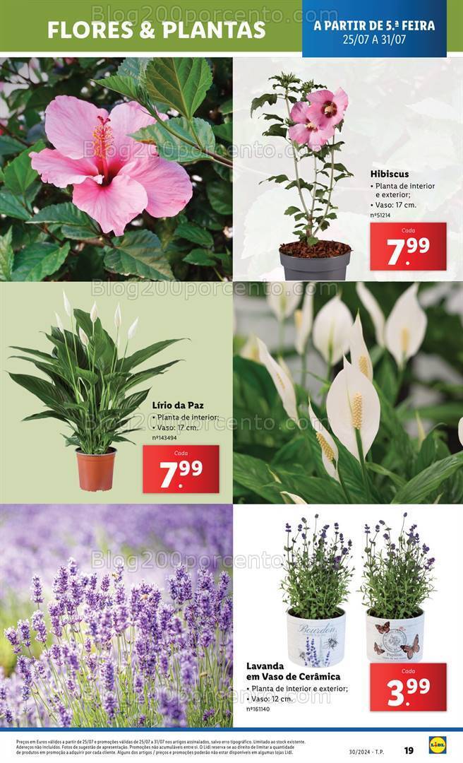 Antevisão Folheto LIDL Mercado de Plantas Promoções de 25 a 31 julho