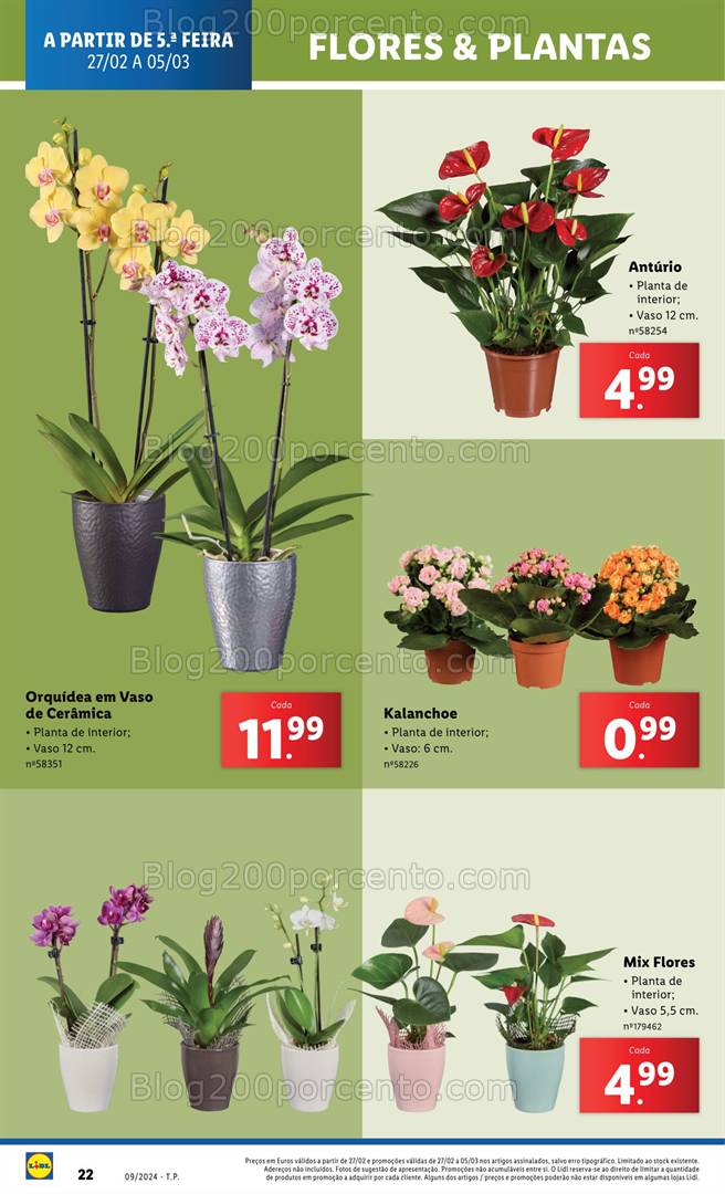 Antevisão Folheto LIDL Mercado de Plantas Promoções de 27 fevereiro a 5 março