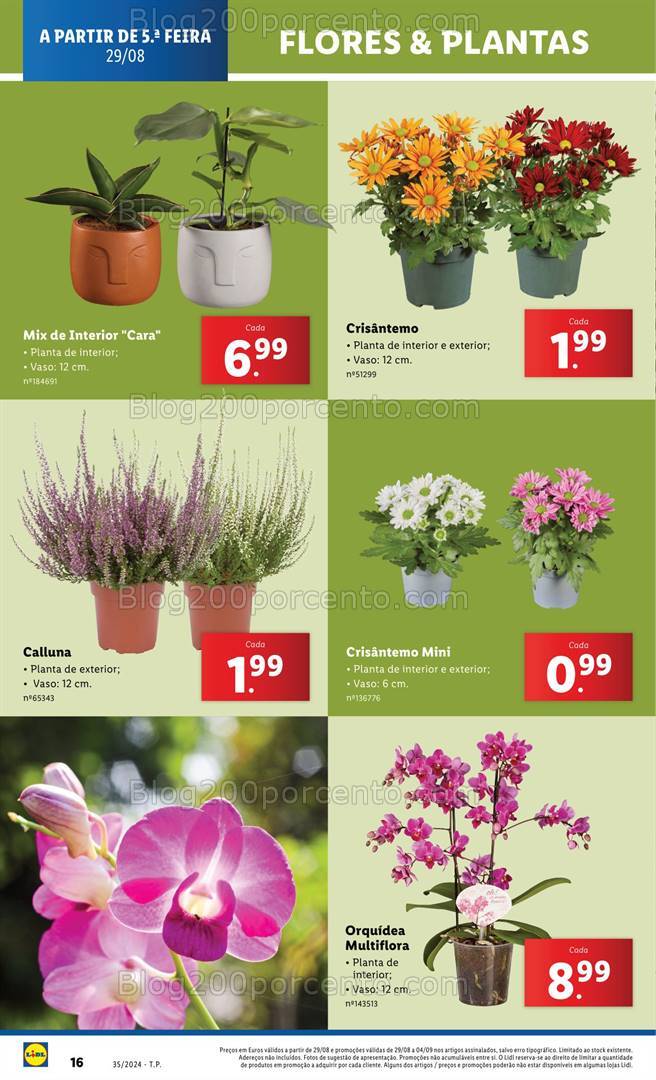 Antevisão Folheto LIDL Bazar Promoções de 29 agosto a 4 setembro