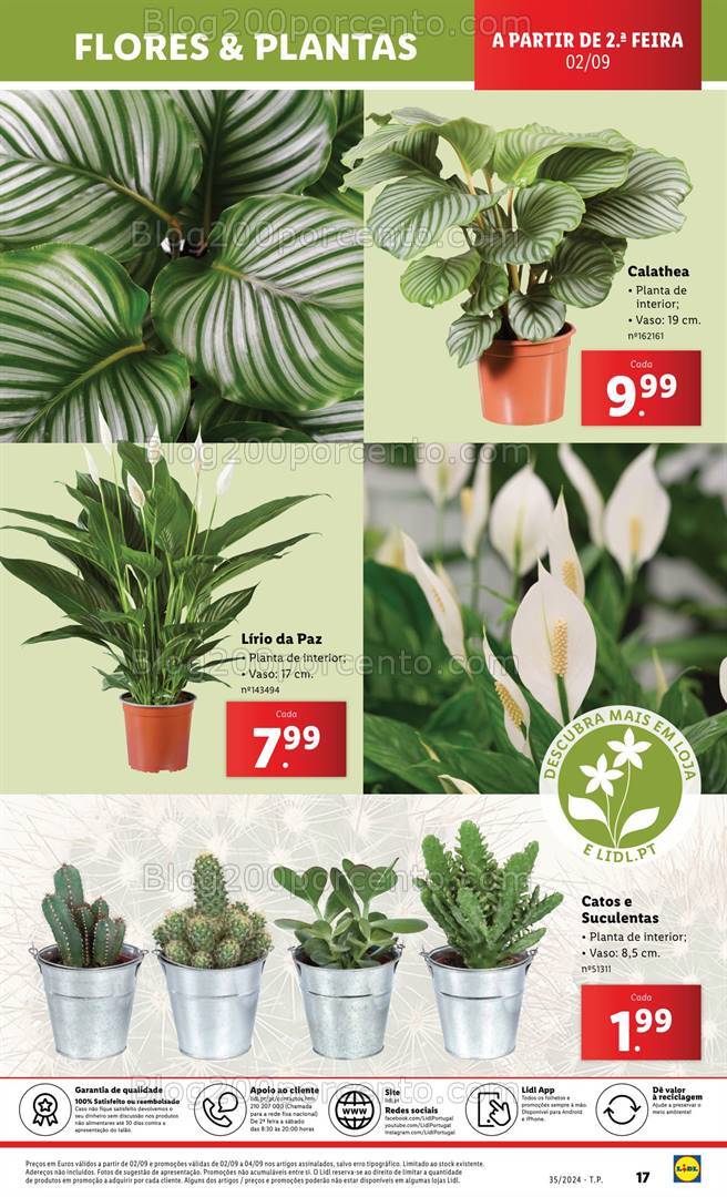 Antevisão Folheto LIDL Bazar Promoções de 29 agosto a 4 setembro