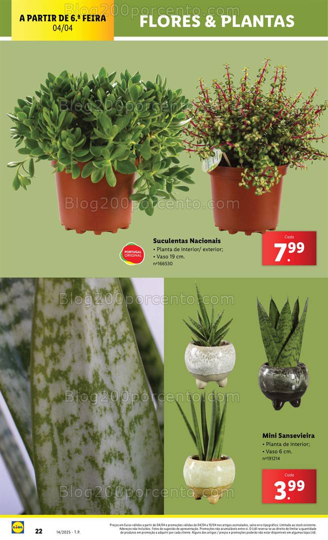 Antevisão Folheto LIDL Mercado de Plantas Promoções 31 março a 10 abril
