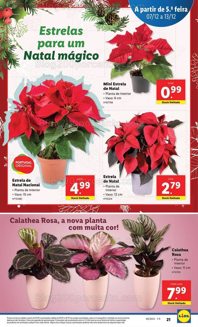 Antevisão Folheto LIDL Natal Promoções de 7 a 13 dezembro