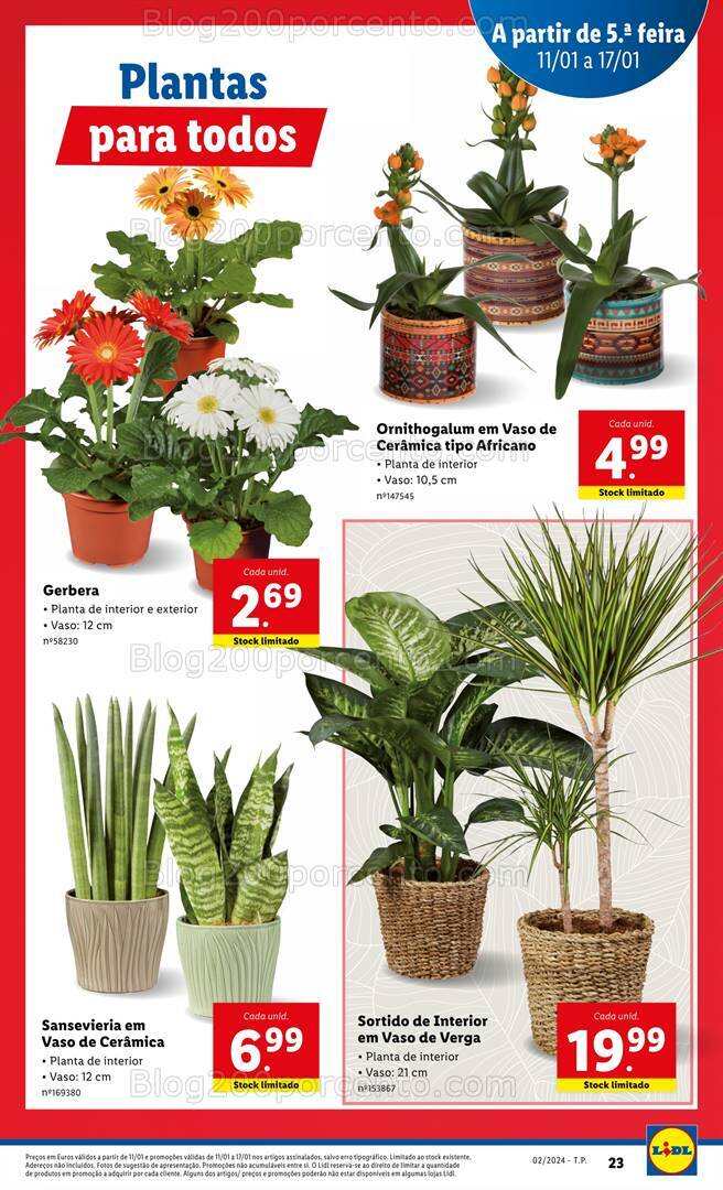 Antevisão Folheto LIDL Promoções de 11 a 17 janeiro