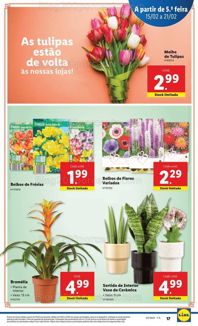 Antevisão Folheto LIDL Mercado de Plantas - Promoções de 15 a 21 fevereiro